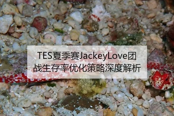 TES夏季赛JackeyLove团战生存率优化策略深度解析