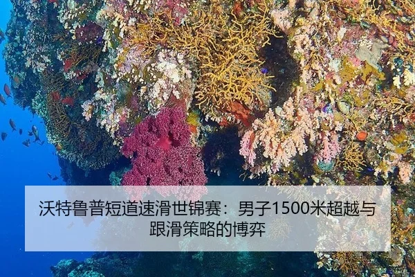 沃特鲁普短道速滑世锦赛：男子1500米超越与跟滑策略的博弈