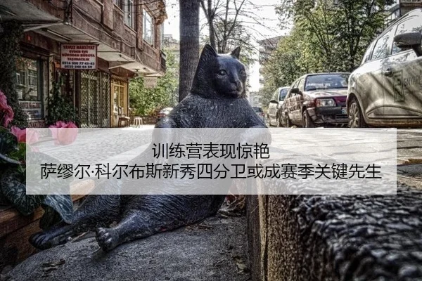 训练营表现惊艳 萨缪尔·科尔布斯新秀四分卫或成赛季关键先生